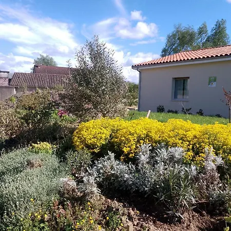 Moderne Avec Terrasse, Parking Et Wifi - Fr-1-653-262