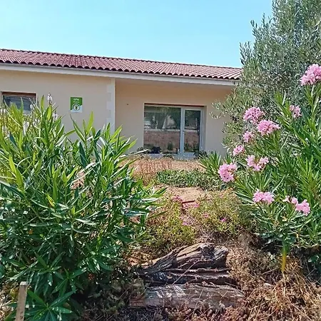 Moderne Avec Terrasse, Parking Et Wifi - Fr-1-653-262