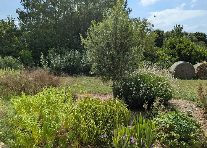 Apartamento Moderne Avec Terrasse, Parking Et Wifi - Fr-1-653-262 *